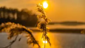 Zachód słońca na Fuledzie, jezioro Dobskie, marzec 2025 r. - zdjęcie 21