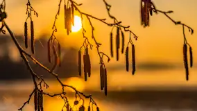 Zachód słońca na Fuledzie, jezioro Dobskie, marzec 2025 r. - zdjęcie 18