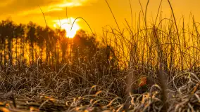 Zachód słońca na Fuledzie, jezioro Dobskie, marzec 2025 r. - zdjęcie 33