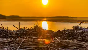 Zachód słońca na Fuledzie, jezioro Dobskie, marzec 2025 r. - zdjęcie 38