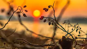 Zachód słońca na Fuledzie, jezioro Dobskie, marzec 2025 r. - zdjęcie 40