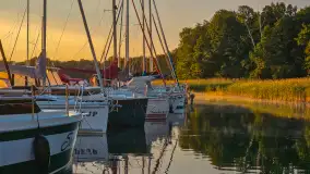Wschody słońca w Łabędzim Ostrowiu nad jeziorem Kisajno - zdjęcie 19