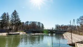 Jaz w Kwiku, marzec 2025r. - zdjęcie 19