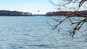 Półwysep Szeroki Ostrów, marzec 2025r. - zdjęcie 47