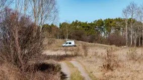 Półwysep Szeroki Ostrów, marzec 2025r. - zdjęcie 44