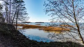 Półwysep Szeroki Ostrów, marzec 2025r. - zdjęcie 33