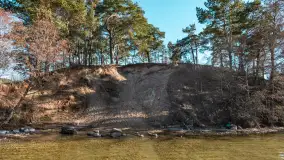 Półwysep Szeroki Ostrów, marzec 2025r. - zdjęcie 37