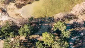 Półwysep Szeroki Ostrów, marzec 2025r. - zdjęcie 59