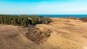 Półwysep Szeroki Ostrów, marzec 2025r. - zdjęcie 52