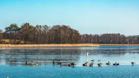 Plaża w Kleszczewie i jezioro Wojnowo, marzec 2025 r. - zdjęcie 19