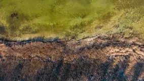 Pole biwakowe nad jeziorem Śniardwy. Okartowo, marze  2025r. - zdjęcie 40