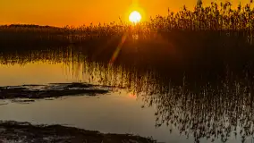 Zachód nad jeziorem Śniardwy, Szeroki Ostrów, marzec 2025 r. - zdjęcie 40