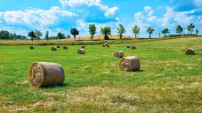 Mix ujęć z sezonu 2024 Michała cz. I - zdjęcie 27