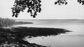 Przedwojenne zdjęcia jeziora Niegocin (niem. Löwentinsee) - zdjęcie 29