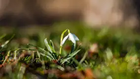 Słoneczny Ryn pod koniec marca - zdjęcie 13