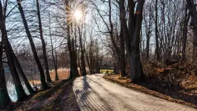 Słoneczny Ryn pod koniec marca - zdjęcie 26