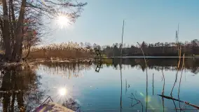 Słoneczny Ryn pod koniec marca - zdjęcie 52