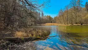 Rezerwat Przyrody Krutynia na wiosennych ujęciach, kwiecień 2025 r. - zdjęcie 6