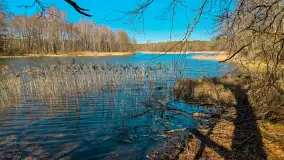 Rezerwat Przyrody Krutynia na wiosennych ujęciach, kwiecień 2025 r. - zdjęcie 13