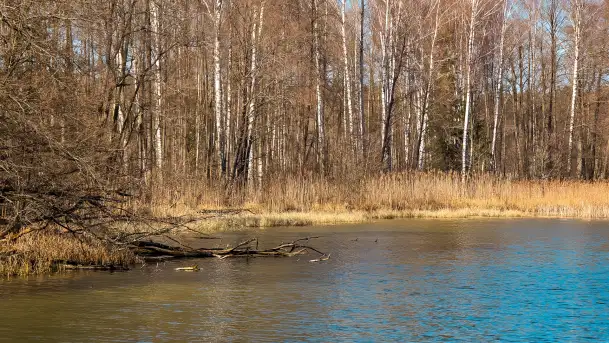 Rezerwat Przyrody Krutynia na wiosennych ujęciach, kwiecień 2025 r. - zdjęcie 10