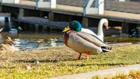 Wiosna w Mrągowie, końcówka marca 2023 r. - zdjęcie 66