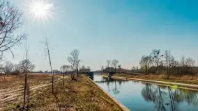 Kanał Grunwaldzki i szukanie wiosny przed sezonem 2025 - zdjęcie 32