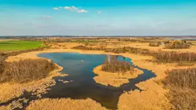 Kanał Grunwaldzki i szukanie wiosny przed sezonem 2025 - zdjęcie 20