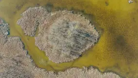 Kanał Grunwaldzki i szukanie wiosny przed sezonem 2025 - zdjęcie 34