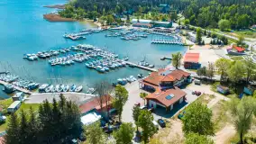 Wilkasy z lotu ptaka w wiosennej scenerii, maj 2025 r. - zdjęcie 17