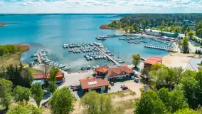 Wilkasy z lotu ptaka w wiosennej scenerii, maj 2025 r. - zdjęcie 9