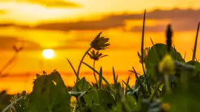 Relaksujący, kwietniowy zachód słońca nad jeziorem Dargin - zdjęcie 4