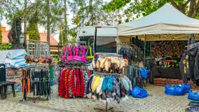 Fotorelacja - IX Zlot Harley Davidson w Marina Lester Club - zdjęcie 47