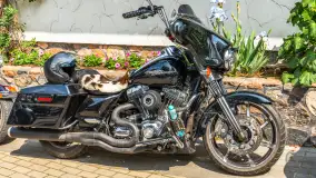 Fotorelacja - IX Zlot Harley Davidson w Marina Lester Club - zdjęcie 33