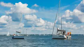 Jezioro Niegocin widziane z Wilkas, lipiec 2025 r. - zdjęcie 11