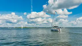 Jezioro Niegocin widziane z Wilkas, lipiec 2025 r. - zdjęcie 15