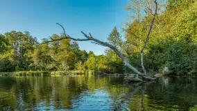 Popołudniowy spływ na Krutyni, sierpień 2025 r. - zdjęcie 22