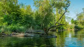 Popołudniowy spływ na Krutyni, sierpień 2025 r. - zdjęcie 12