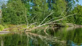 Popołudniowy spływ na Krutyni, sierpień 2025 r. - zdjęcie 23