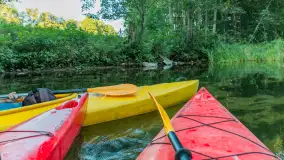 Popołudniowy spływ na Krutyni, sierpień 2025 r. - zdjęcie 27