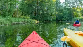 Popołudniowy spływ na Krutyni, sierpień 2025 r. - zdjęcie 44