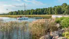 Jezioro Mamry w okolicach Węgorapy, sierpień 2025 r. - zdjęcie 3