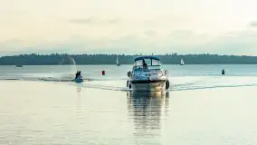 Jezioro Mamry w okolicach Węgorapy, sierpień 2025 r. - zdjęcie 23