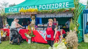 Dożynki Parafialno‑Gminne w Pozezdrzu, sierpień 20225 r. - zdjęcie 48