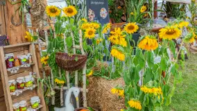 Dożynki Parafialno‑Gminne w Pozezdrzu, sierpień 20225 r. - zdjęcie 32