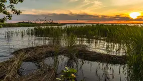 Zachód słońca nad jeziorem Śniardwy, Szeroki Ostrów, czerwiec 2025 r. - zdjęcie 1