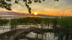 Zachód słońca nad jeziorem Śniardwy, Szeroki Ostrów, czerwiec 2025 r. - zdjęcie 22