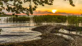 Zachód słońca nad jeziorem Śniardwy, Szeroki Ostrów, czerwiec 2025 r. - zdjęcie 32