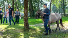 Fotorelacja - 70 lat konika polskiego w Popielnie – jubileuszowe spotkanie - zdjęcie 29