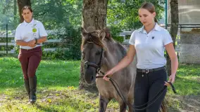 Fotorelacja - 70 lat konika polskiego w Popielnie – jubileuszowe spotkanie - zdjęcie 10