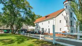 Fotorelacja - 70 lat konika polskiego w Popielnie – jubileuszowe spotkanie - zdjęcie 3